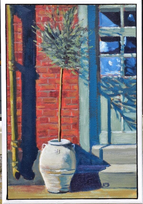 Olive Tree in Caly Pot