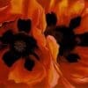 (Oriental Poppies) - Georgia O'Keeffe Irish Artmart