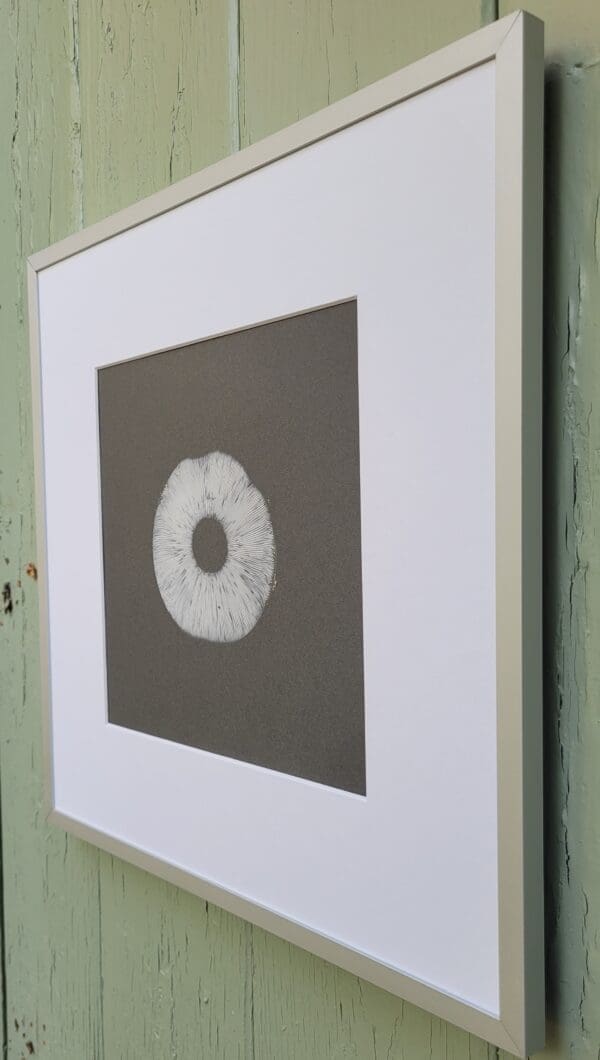 white mushroom spore print on grey Irish Artmart