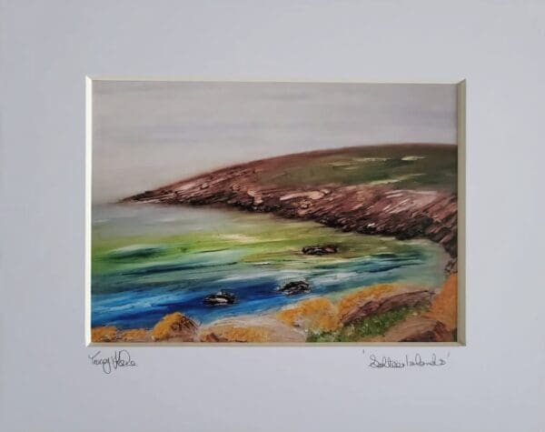 Saltee Islands