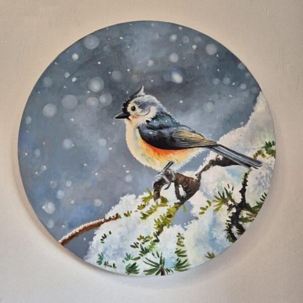 Little Tufted Titmouse