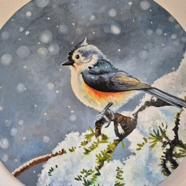 Little Tufted Titmouse - Image 2