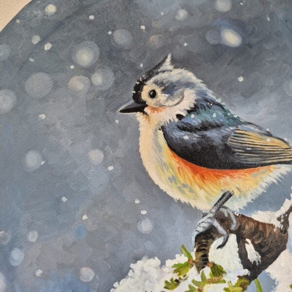 Little Tufted Titmouse - Image 4