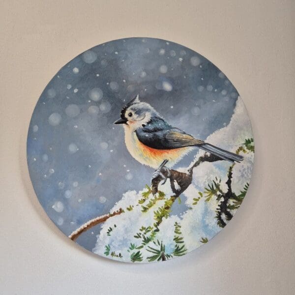 Little Tufted Titmouse - Image 5