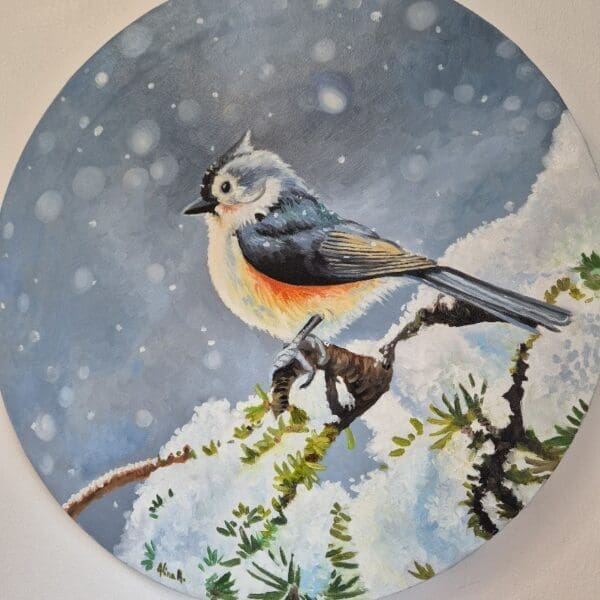 Little Tufted Titmouse - Image 6