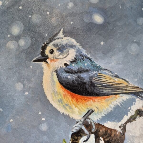 Little Tufted Titmouse - Image 7