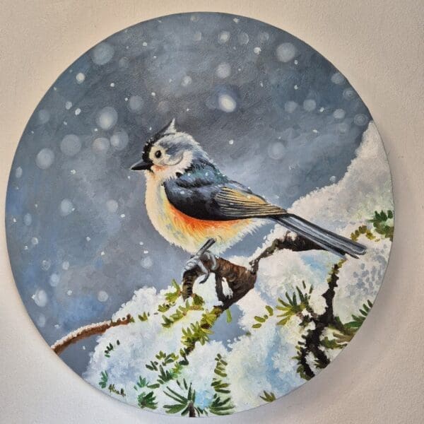 Little Tufted Titmouse - Image 8