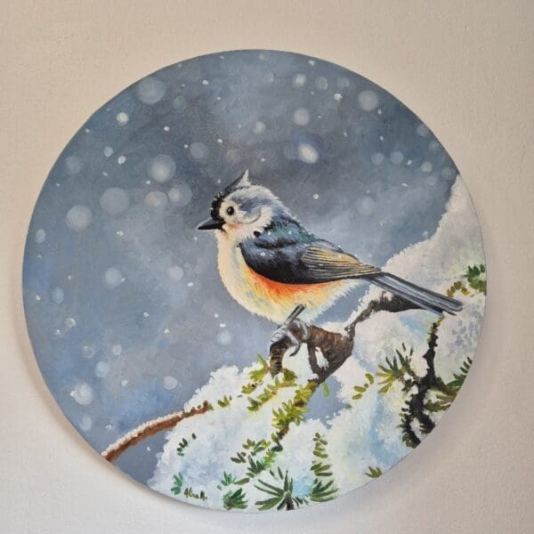 Little Tufted Titmouse - Image 9