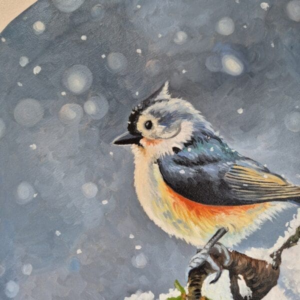 Little Tufted Titmouse - Image 10