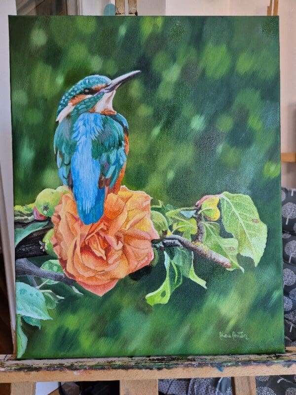 Kingfisher on a rose - Image 3