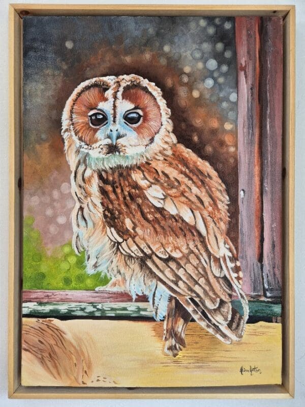 Tawney Owl