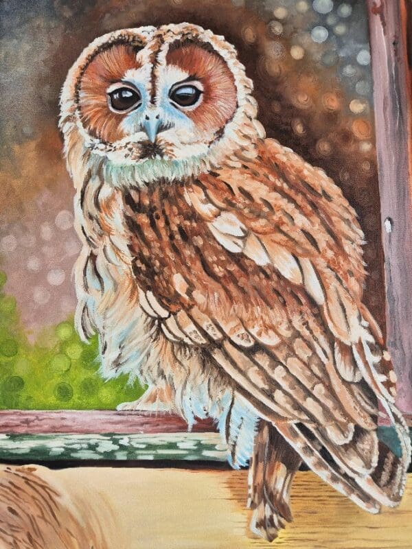 Tawney Owl - Image 3