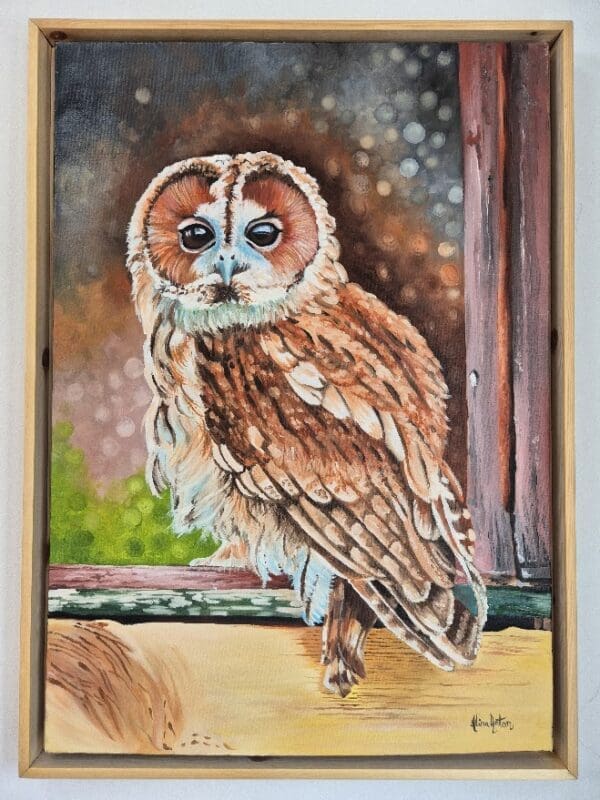 Tawney Owl - Image 4