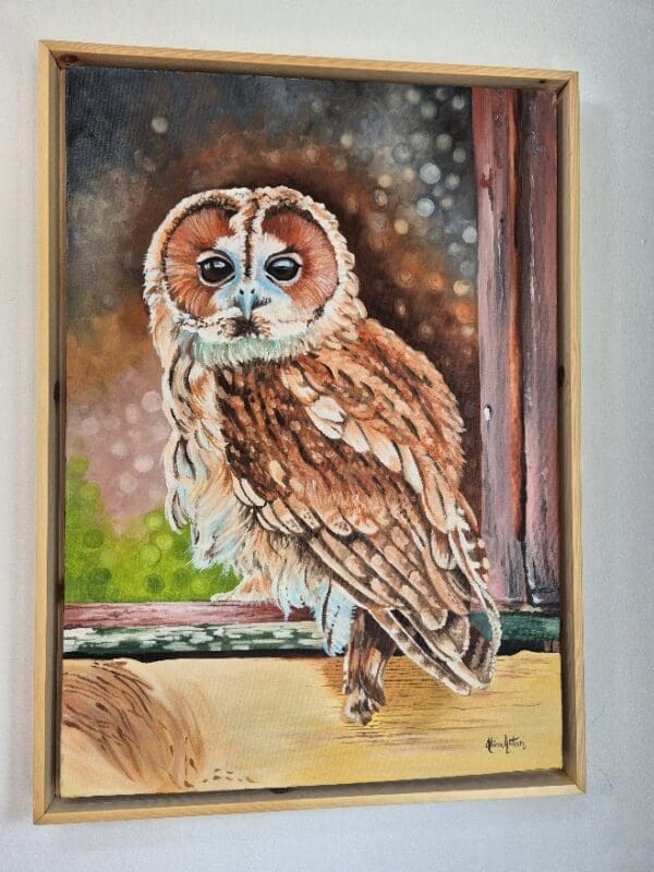 Tawney Owl - Image 5