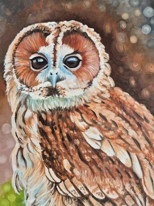 Tawney Owl - Image 6