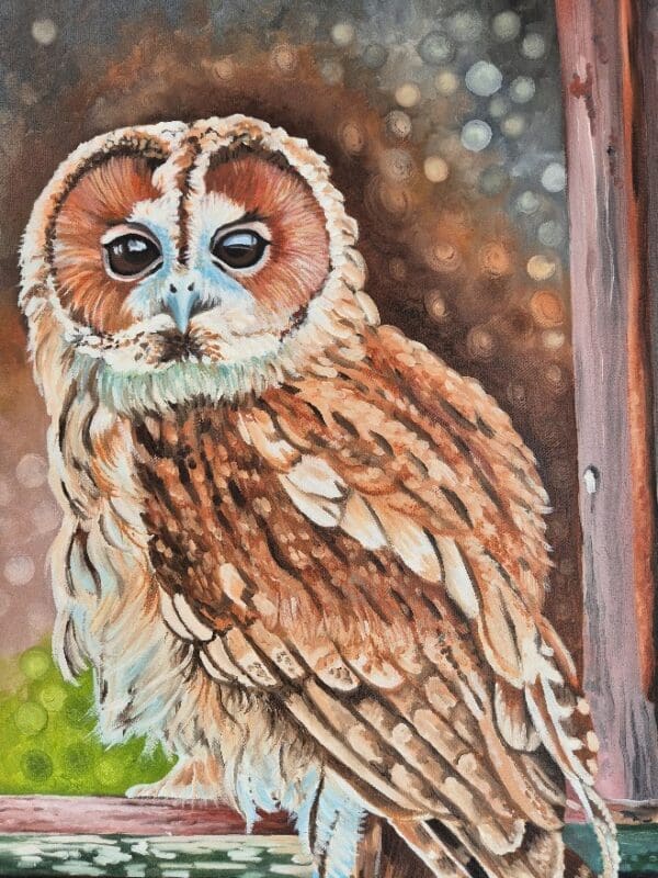 Tawney Owl - Image 7