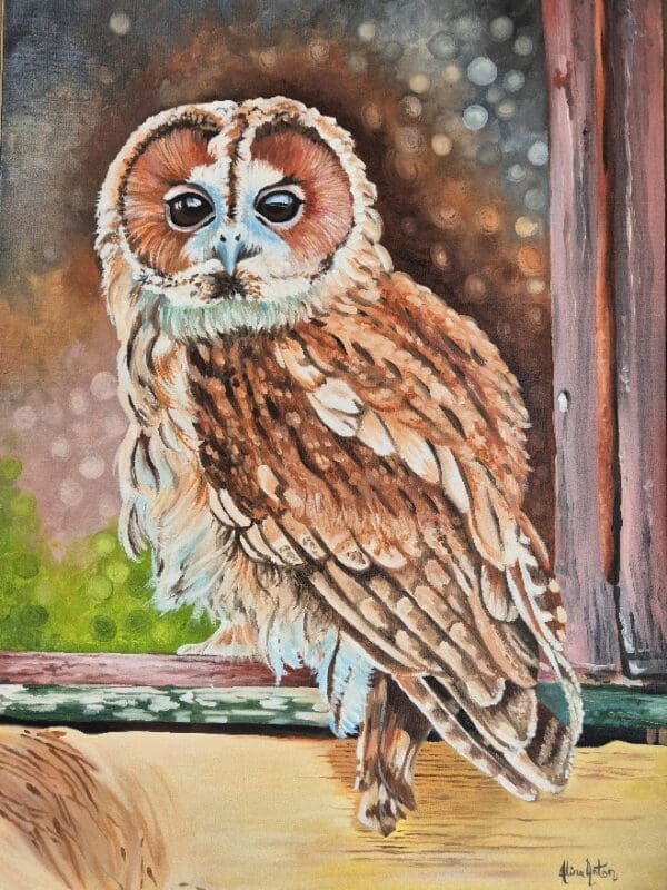 Tawney Owl - Image 8