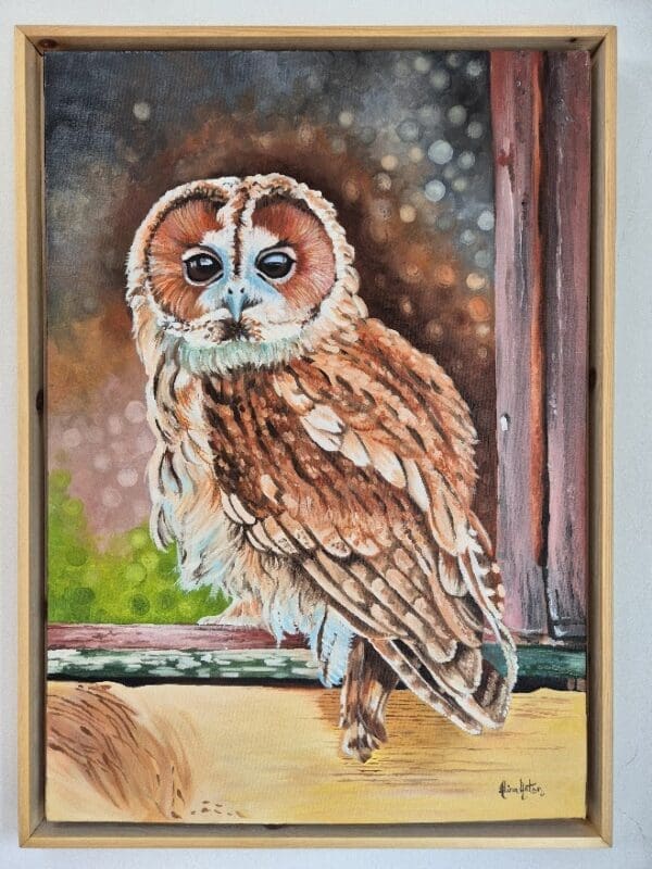 Tawney Owl - Image 9
