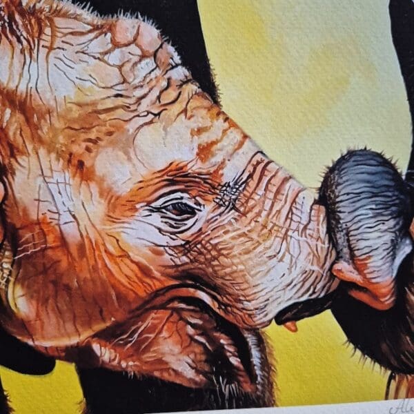 Got your nose – Giclée Print - Image 5