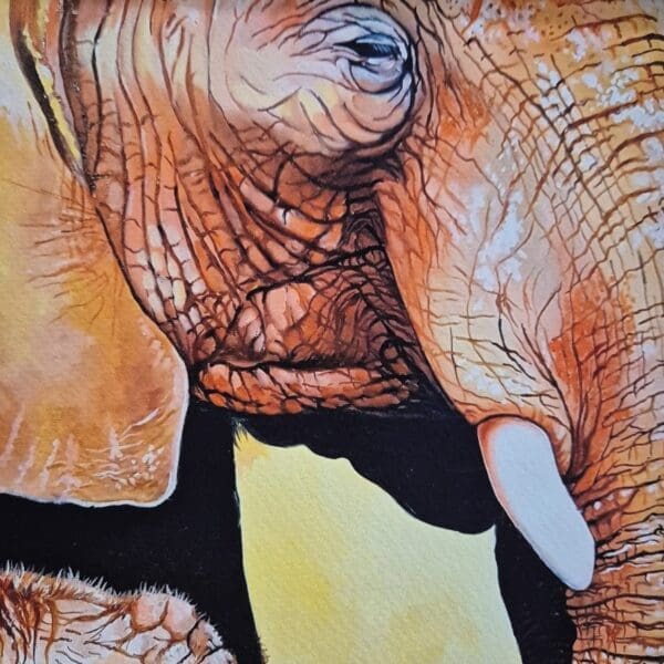Got your nose – Giclée Print - Image 6