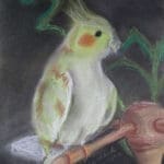 Cockatiel on Perch, original pastel art.