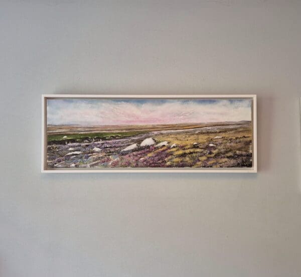 Connemara Bog