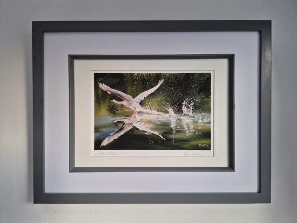 The Take off - Print - Image 7