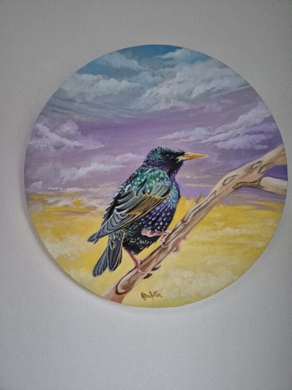 Resting Starling - Image 2