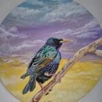Resting Starling