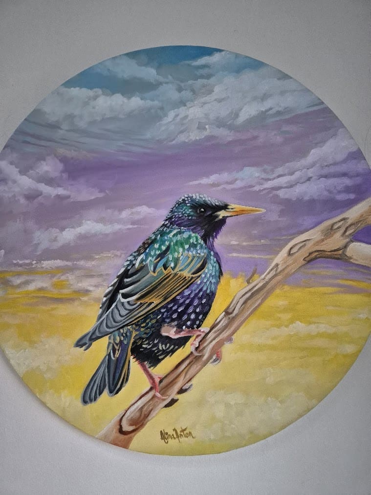 Resting Starling