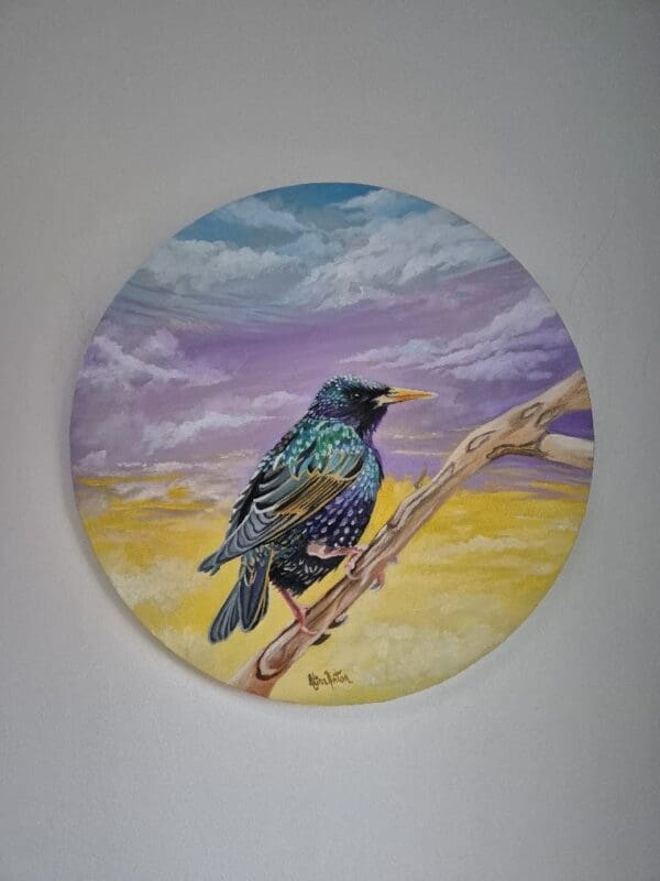 Resting Starling - Image 3