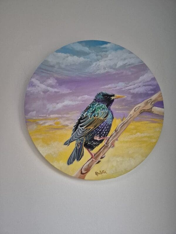 Resting Starling - Image 4