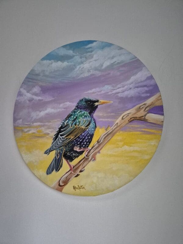 Resting Starling - Image 5