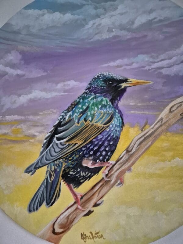 Resting Starling - Image 6