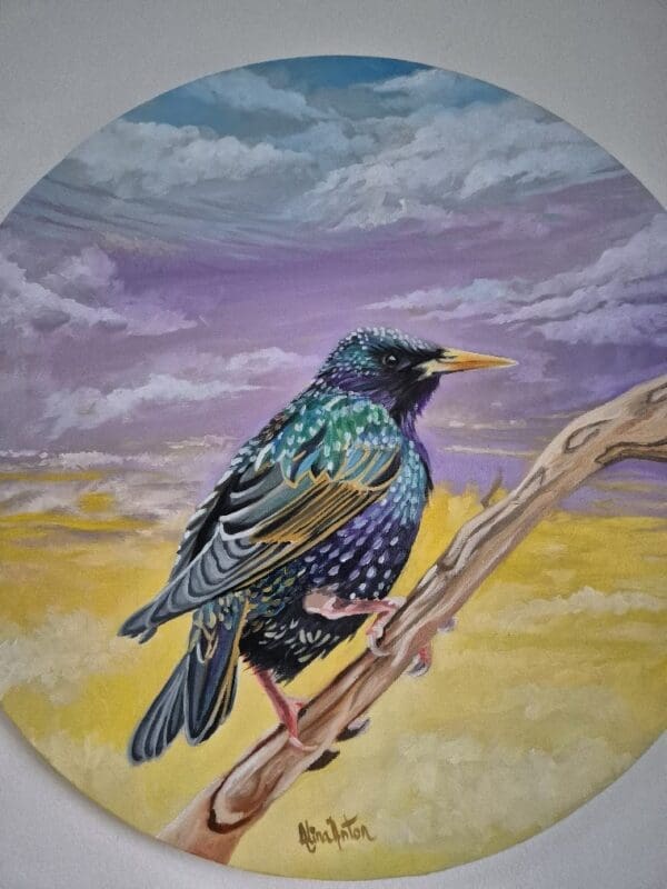 Resting Starling - Image 7