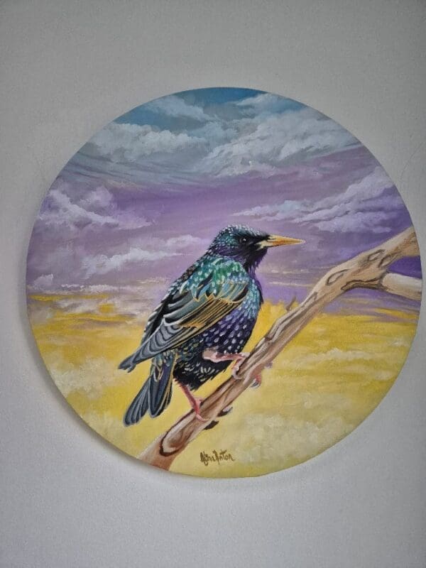 Resting Starling - Image 8