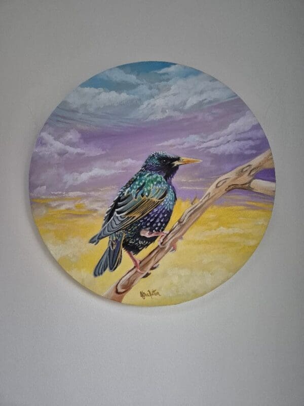 Resting Starling - Image 9