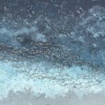 Night Waves