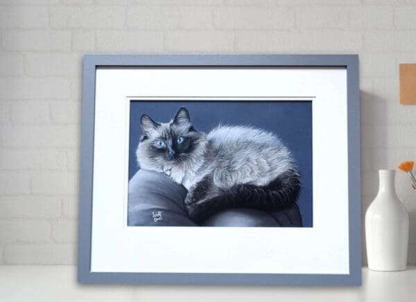 Fluffy Snuggle Ragdoll Cat - Original realistic framed pastel pet portrait of a Ragdoll cat - Image 3