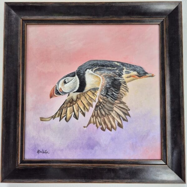Puffin in flight - Image 2