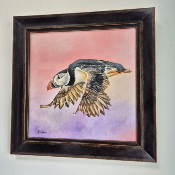 Puffin in flight - Image 3