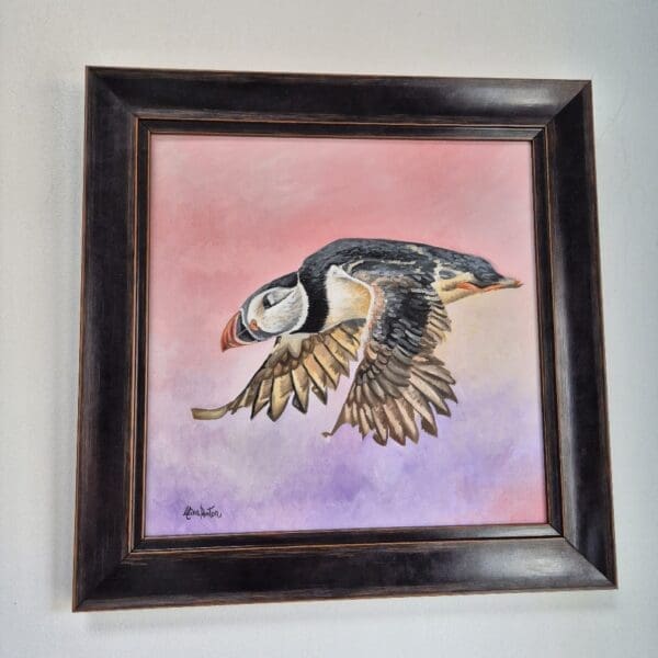 Puffin in flight - Image 4