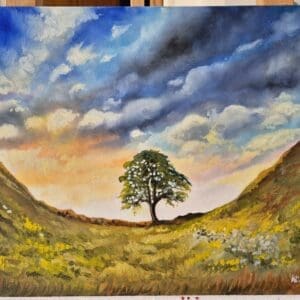 Sycamore Gap Tree