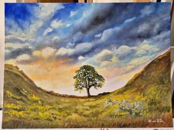 Sycamore Gap Tree