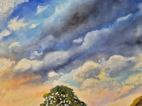 Sycamore Gap Tree - Image 4