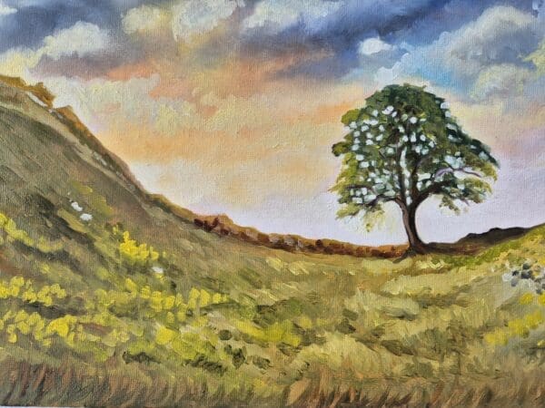 Sycamore Gap Tree - Image 6