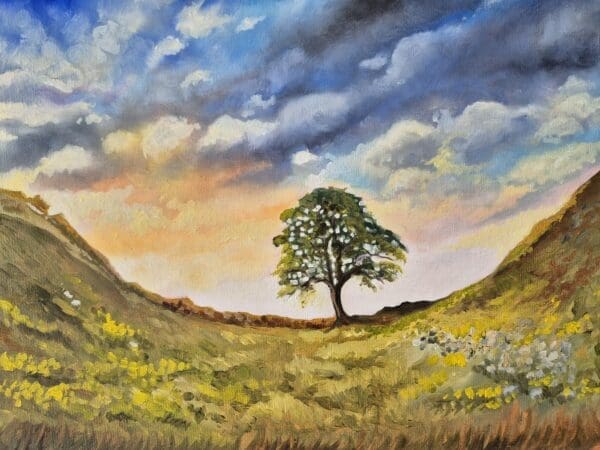 Sycamore Gap Tree - Image 7