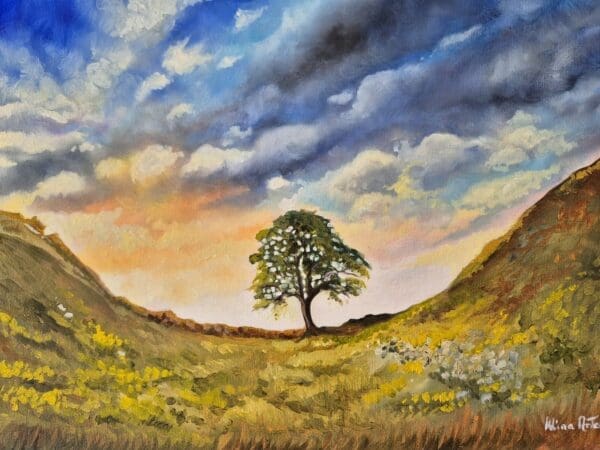 Sycamore Gap Tree - Image 8