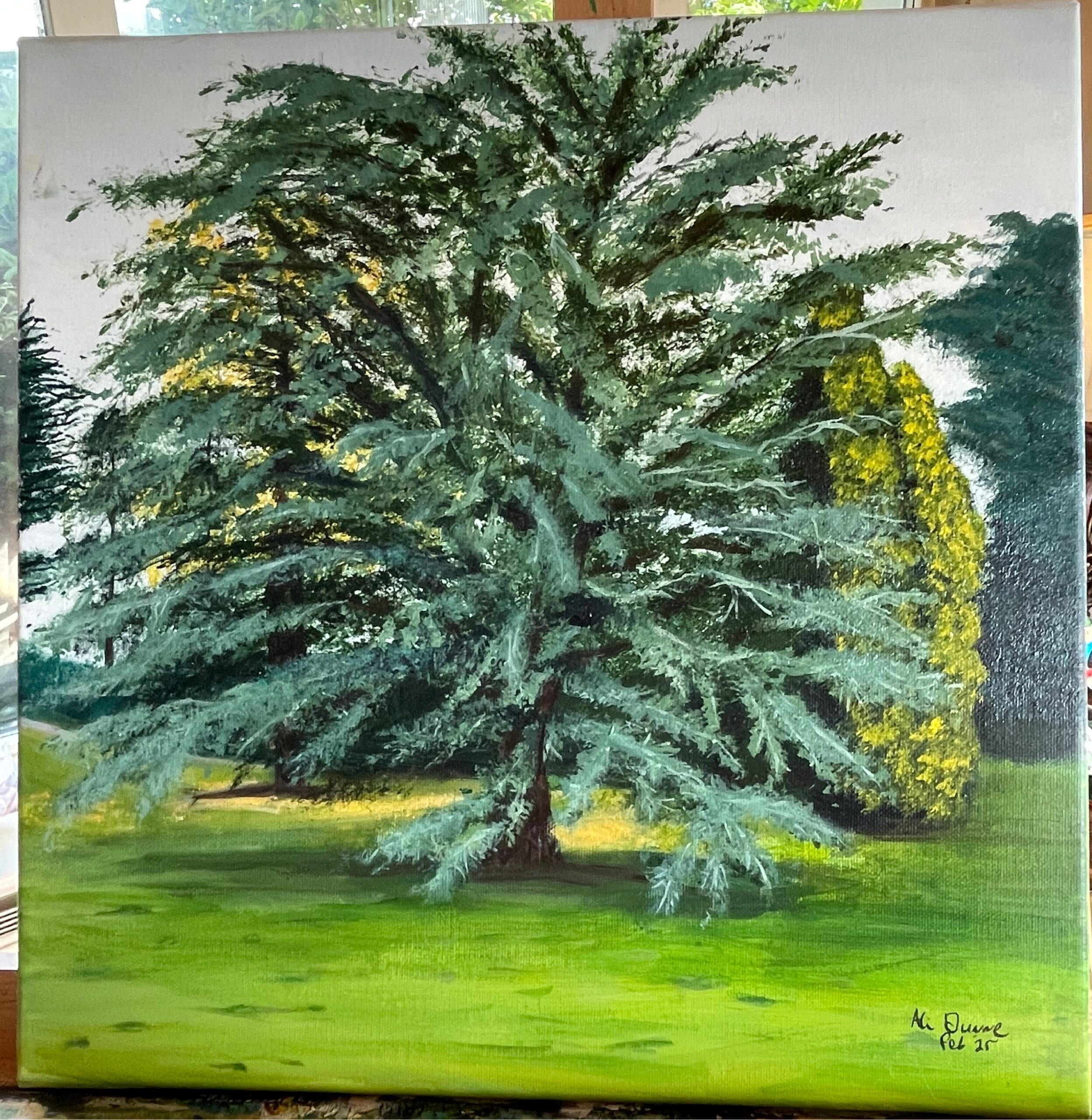 Stunning Tree in an Irish Garden