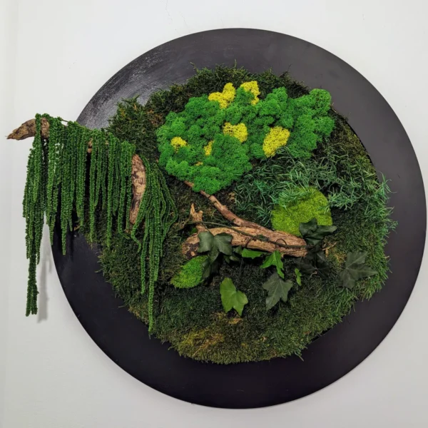 Moss Forest Circle - Image 6